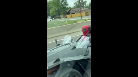 You Never Know Who You Might See Driving Down the Highway || ViralHog