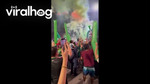 Mexico Soccer Team Greeted by Fans in Guadalajara || ViralHog