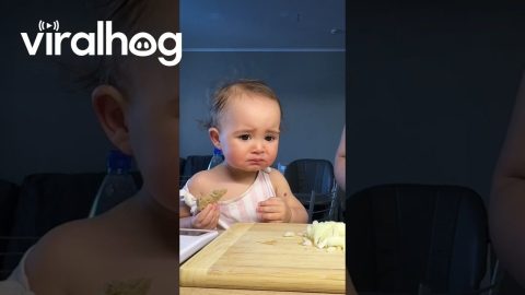 Toddler Taste Testing || ViralHog