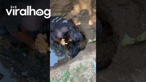 New Guy Unclogs a Drain Pipe || ViralHog
