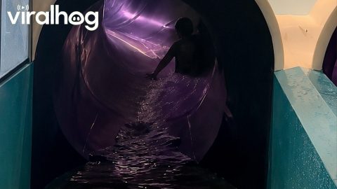 Rider Catches Air on a Cruise Ship Waterslide || ViralHog