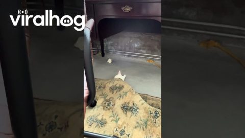 When Your Friend Doesn't Give You a Blanket at the Sleepover || ViralHog