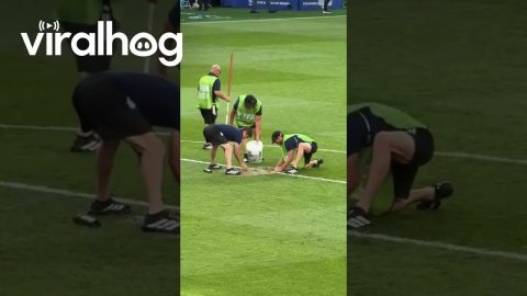 Sprinkler Malfunctions During Halftime at Iraq-Norway World Cup Game || ViralHog