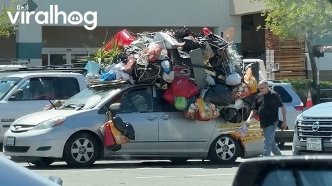 Hoarding Taken to a New Level || ViralHog