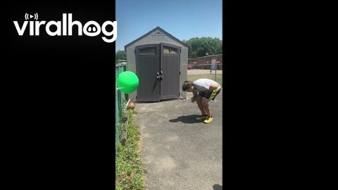 Instant Regret with an Axe || ViralHog