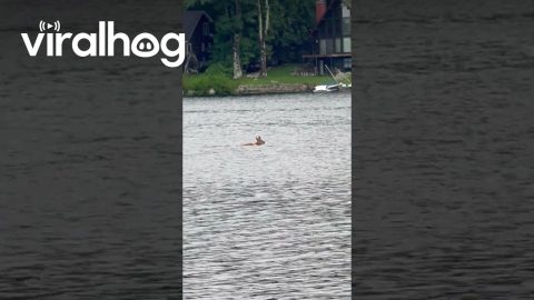 Unexpected Passerby While Fishing on Lake Winnipesaukee || ViralHog