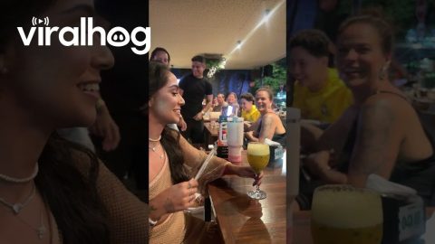 Sparkling Cocktail Opens With a Pop || ViralHog