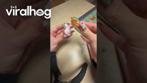 Making Macarons Is Harder Than Anticipated || ViralHog