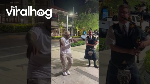 Scotland in Miami || ViralHog