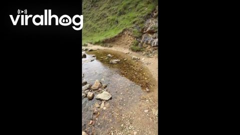 Magic River Springs From Nothing || ViralHog