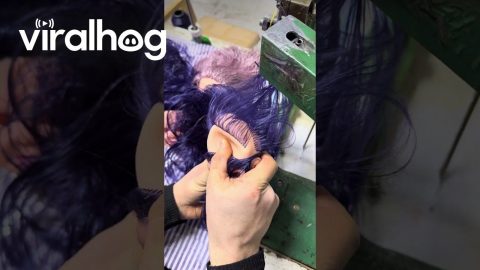 Blue Hair for a Doll || ViralHog