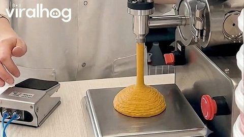 Staff Makes Hummus Pies || ViralHog