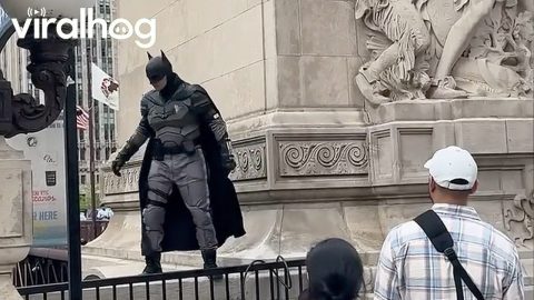 Bat Superhero Keeps Chicago Safe || ViralHog