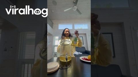 Messy Mixed Drinks || ViralHog