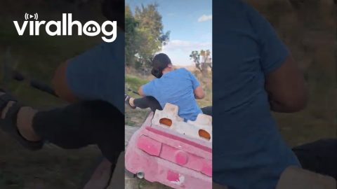 Tokyo Drift Gone Wrong || ViralHog