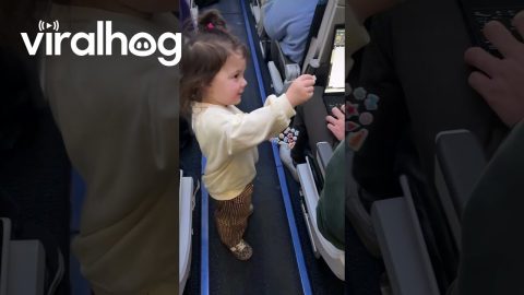Toddler Hands Out Stickers to Passengers on Her Flight || ViralHog
