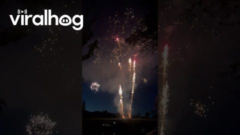 Fourth of July Fireworks Grand Finale Gone Wrong || ViralHog