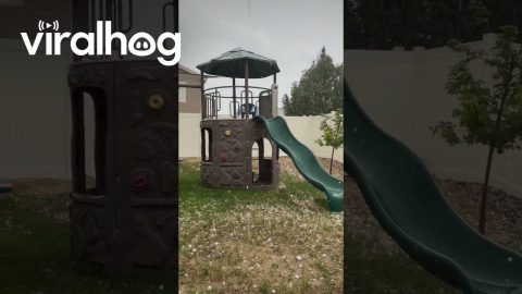 Golf Ball-Sized Hail Pummels Berthoud, Colorado || ViralHog
