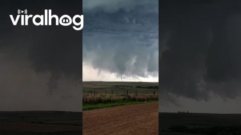 She Cannot Believe This Tornado Is Happening || ViralHog