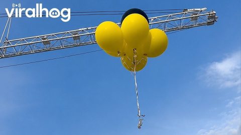 Balloons Move Straight Into Outstretched Hand || ViralHog