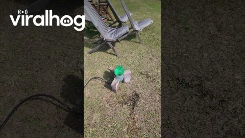 Turning a Soda Bottle Into a Water-Powered Rocket With a Bike Pump || ViralHog