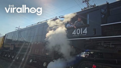 Locomotive Engineer Scolds Photographer for Standing on the Tracks || ViralHog