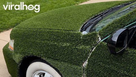 Car Covered With Grass || ViralHog