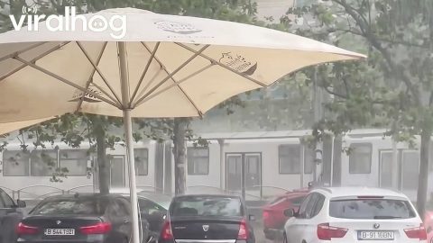 Stormy Winds Push Umbrella Into Car || ViralHog