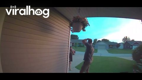 Tall Boyfriends Bumps Head on Hanging Flowers || ViralHog
