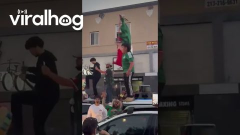 Mexico's Victory Over South Korea Sparks Street Celebrations in L.A. || ViralHog