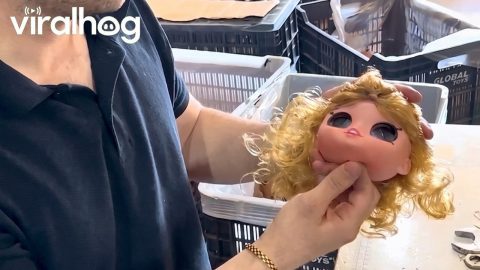 Satisfying Doll Manufacturing || ViralHog