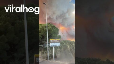Wildfire in Les Gavarres, Spain || ViralHog