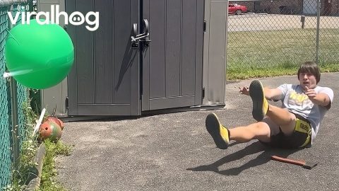 Instant Regret with an Axe || ViralHog