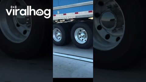 These Toys Seem to Have a Story || ViralHog