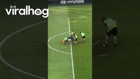 Groundskeepers Repair Field after Sprinkler Malfunction at World Cup Game || ViralHog