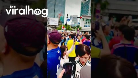 Shibuya Crossing Packed With Fans After 4-0 Victory Over Tunisia || ViralHog