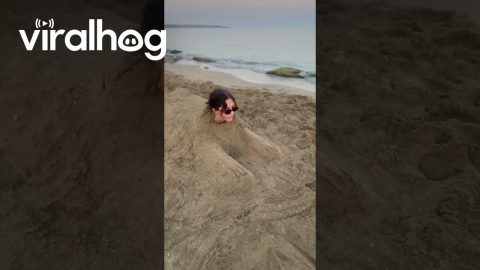 A Human Sphinx at the Beach || ViralHog
