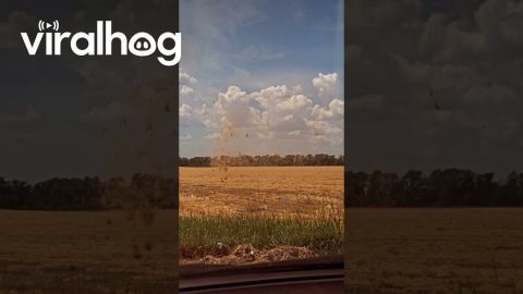 Dust Devil in Russia || ViralHog