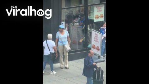 Restaurant Employees Spotted Throwing Out Live Rat || ViralHog