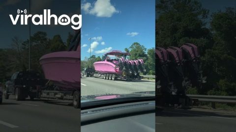Bright Pink Boat Turns Heads on Florida Highway || ViralHog