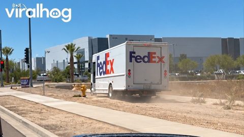 Mail Driver Drives On Sidewalk Dirt || ViralHog