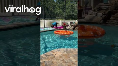 Dog Jumps Onto Pool Float || ViralHog