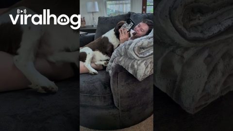 Phoebe the Screen Time Police || ViralHog