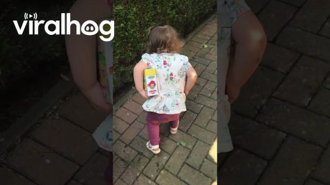 Out of the Mouths of Babes || ViralHog