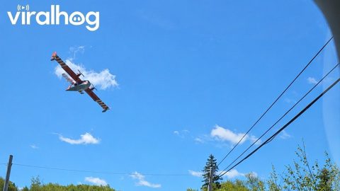 Firefighting Aircraft Filling Up || ViralHog